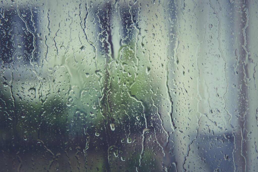 rain stoppers, nature, water-1461288.jpg