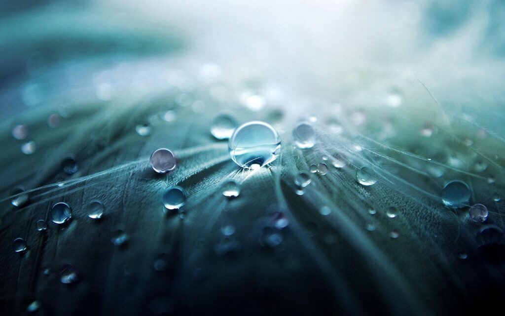 water droplets, dewdrops, water-955929.jpg